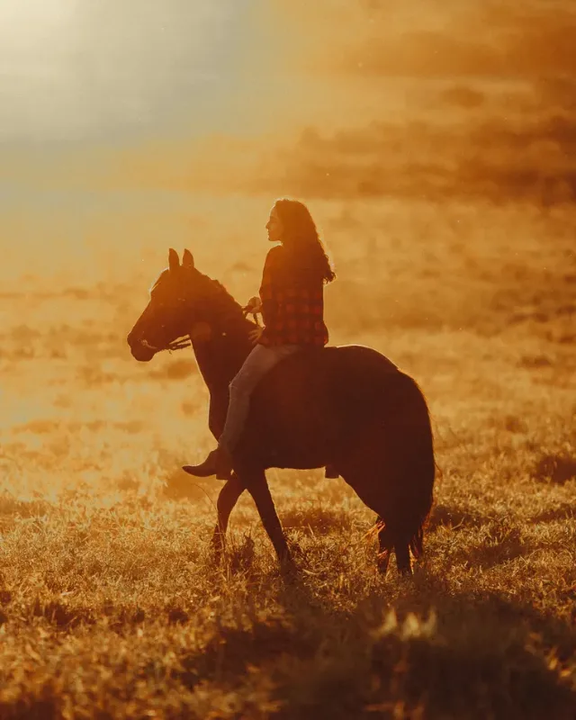 For the Rider, About Equine