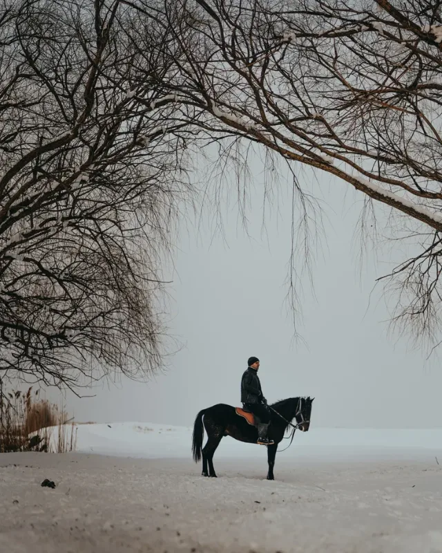 Horse Rugs, About Equine