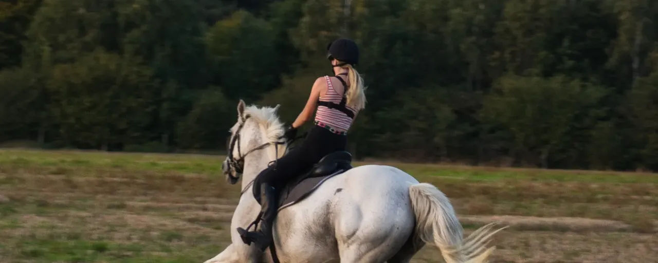 Riding Shirts & Tops from About Equine, equestrian outfitters in the UK