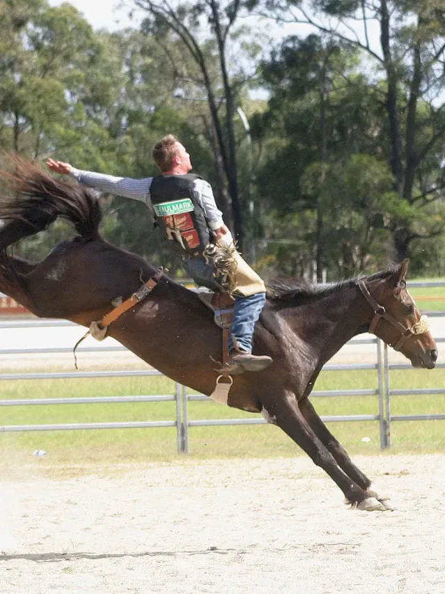 Riding Clothing collection