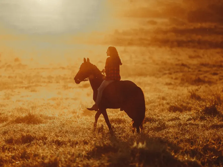 Rider in equestrian clothing