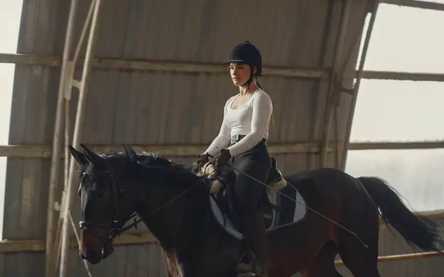 Jodhpurs vs Breeches: What's the Difference?