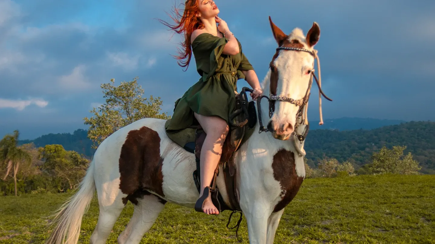 A rider and horse in the countryside, About Equine