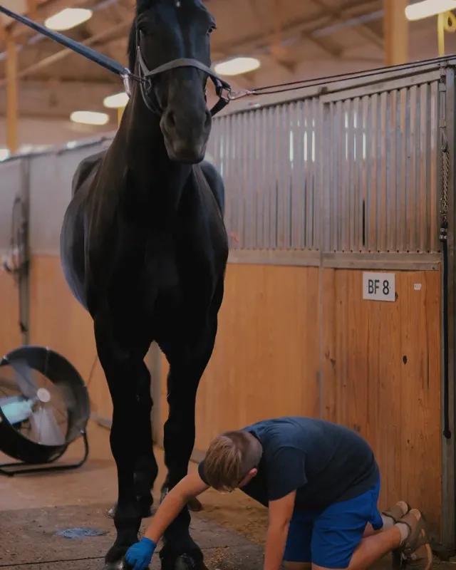 Hoof Health Supplement from About Equine Hoof Health Supplement from About Equine