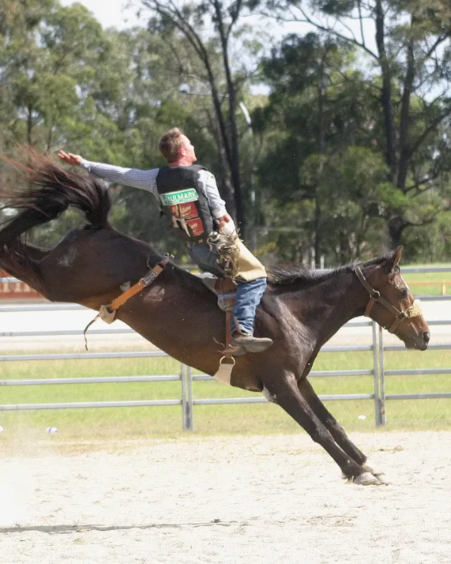 Joint Support Supplement from About Equine Joint Support Supplement from About Equine