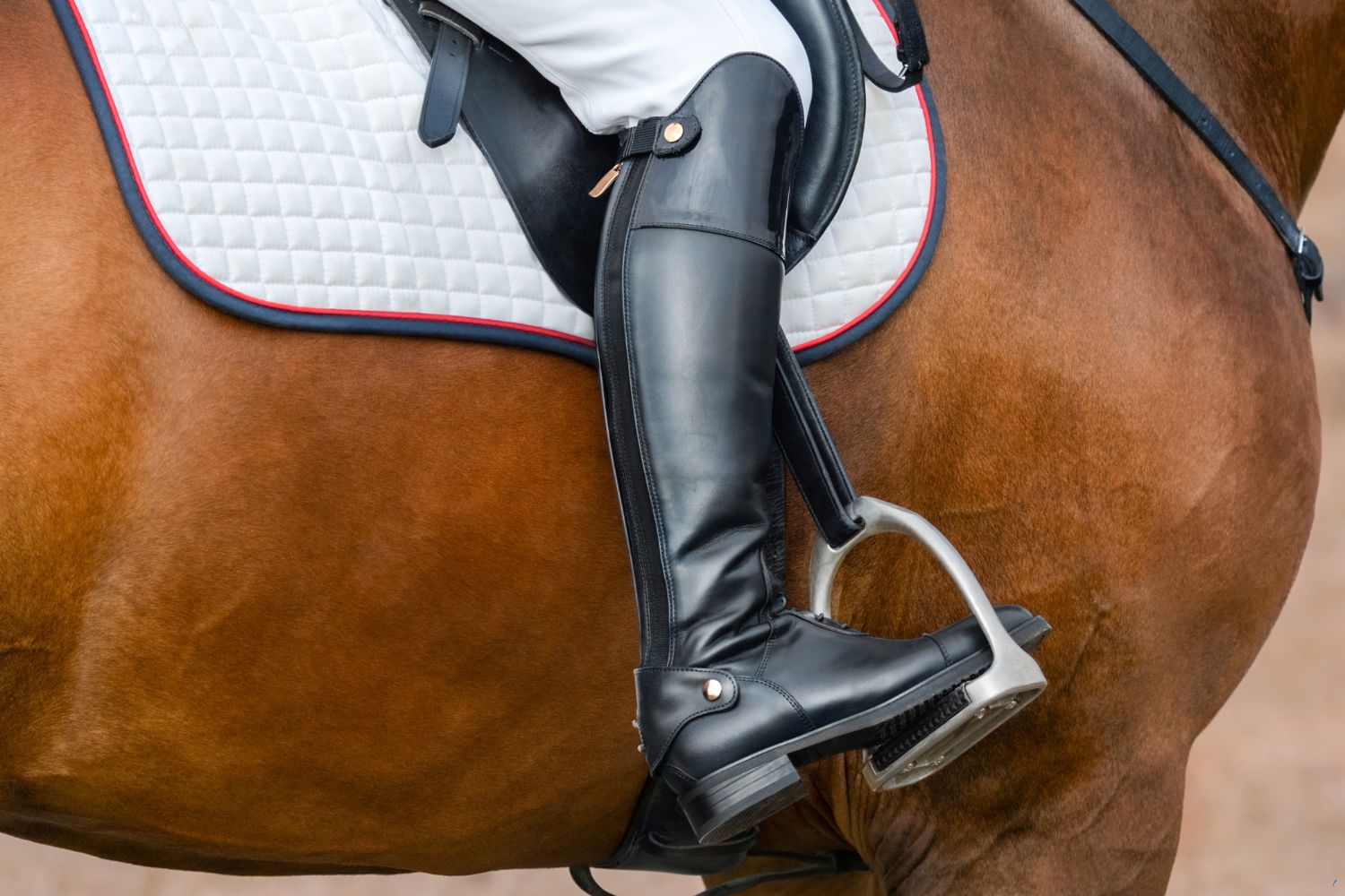 How to Choose Your Horse Riding Boots?